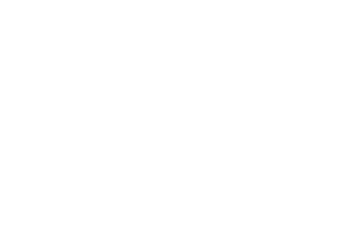RI FRUIT DRINKS AND TROPICAL SIPS ENTERPRISES